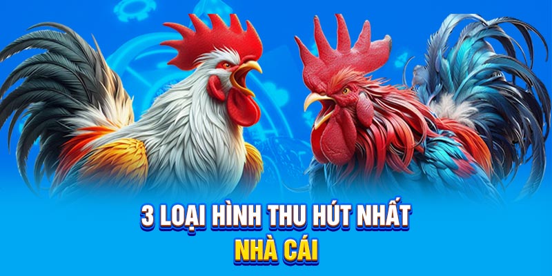 3 loại hình cá cược thu hút hội viên nhất tại nhà cái