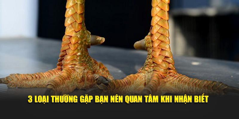 3 loại thường gặp bạn nên quan tâm khi nhận biết
