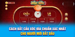 Cách Bắt Cầu Xóc Đĩa Chuẩn Xác Nhất Cho Người Mới Bắt Đầu