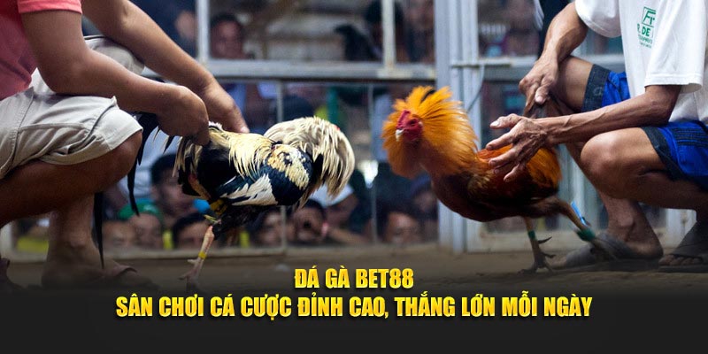 Tỷ lệ cược siêu hấp dẫn tại sảnh cá cược uy tín bet88 