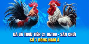 Đá Gà Trực Tiếp C1 BET88 - Sân Chơi Số 1 Đông Nam Á