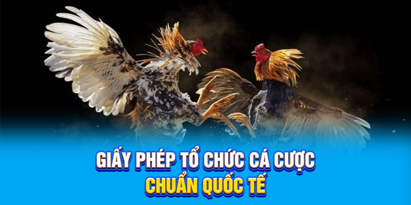 Giấy phép tổ chức cá cược chuẩn quốc tế