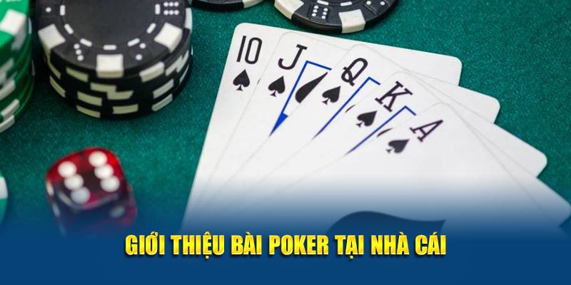 Giới thiệu bài Poker tại nhà cái