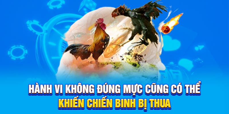 Hành vi không đúng mực cũng có thể khiến chiến binh bị thua