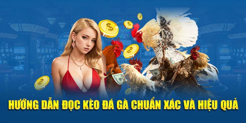 Hướng dẫn đọc kèo đá gà chuẩn xác và hiệu quả