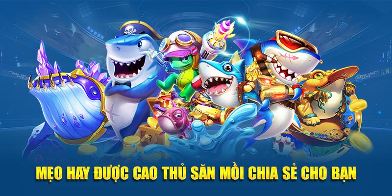 Mẹo hay được cao thủ săn mồi chia sẻ cho bạn