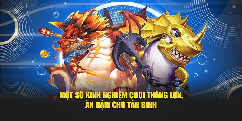 Một số kinh nghiệm chơi thắng lớn, ăn đậm cho tân binh