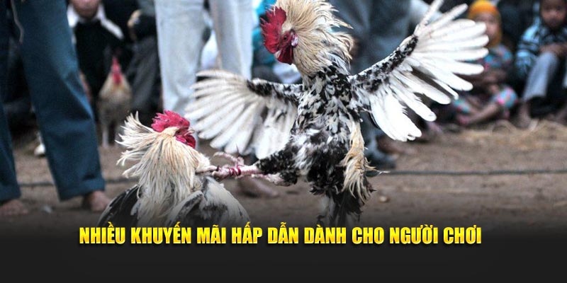 Nhiều khuyến mãi thú vị dành cho người chơi