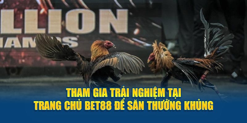 Tham gia trải nghiệm tại trang chủ BET88 để săn thưởng khủng