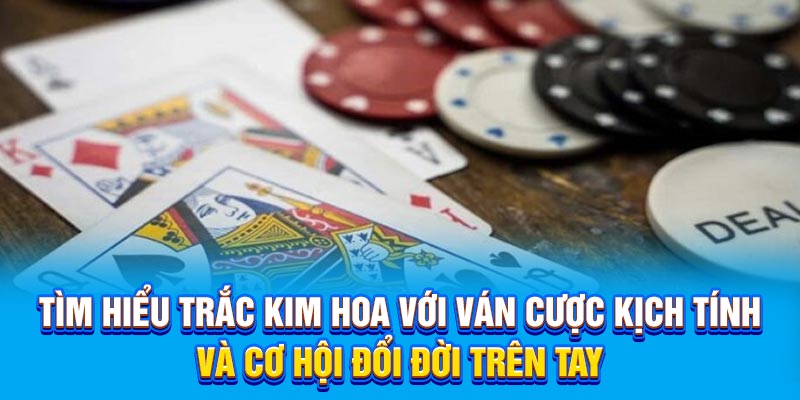 Tìm hiểu trắc kim hoa với ván cược kịch tính và cơ hội đổi đời trên tay