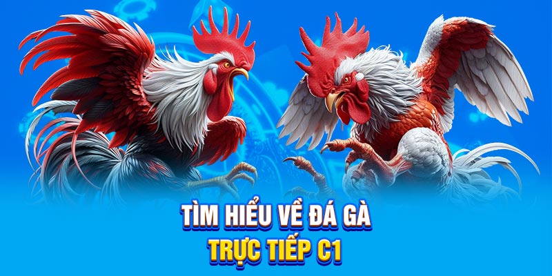 Tìm hiểu về bộ môn cá cược đá gà trực tiếp C1