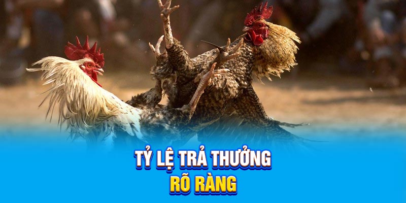 Tỷ lệ trả thưởng rõ ràng minh bạch
