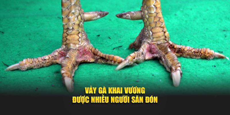 Vảy gà Khai Vương được nhiều người săn đón