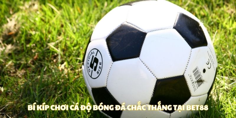 Bí kíp chơi cá độ bóng đá chắc thắng tại BET88