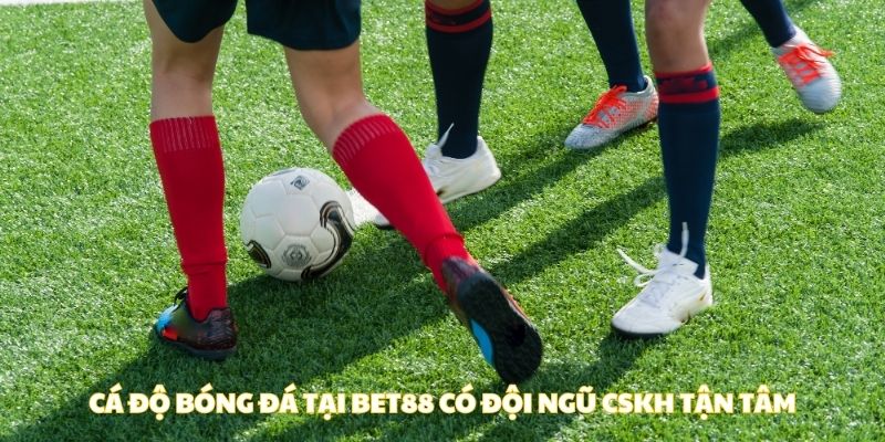 Cá độ bóng đá tại BET88 có đội ngũ CSKH tận tâm