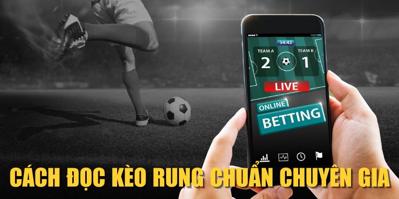 Cách đọc kèo rung chuẩn chuyên gia