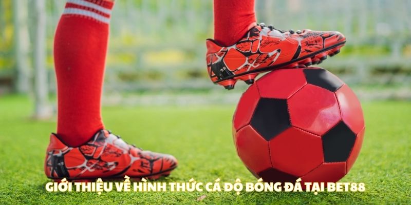 Giới thiệu về hình thức cá độ bóng đá tại BET88